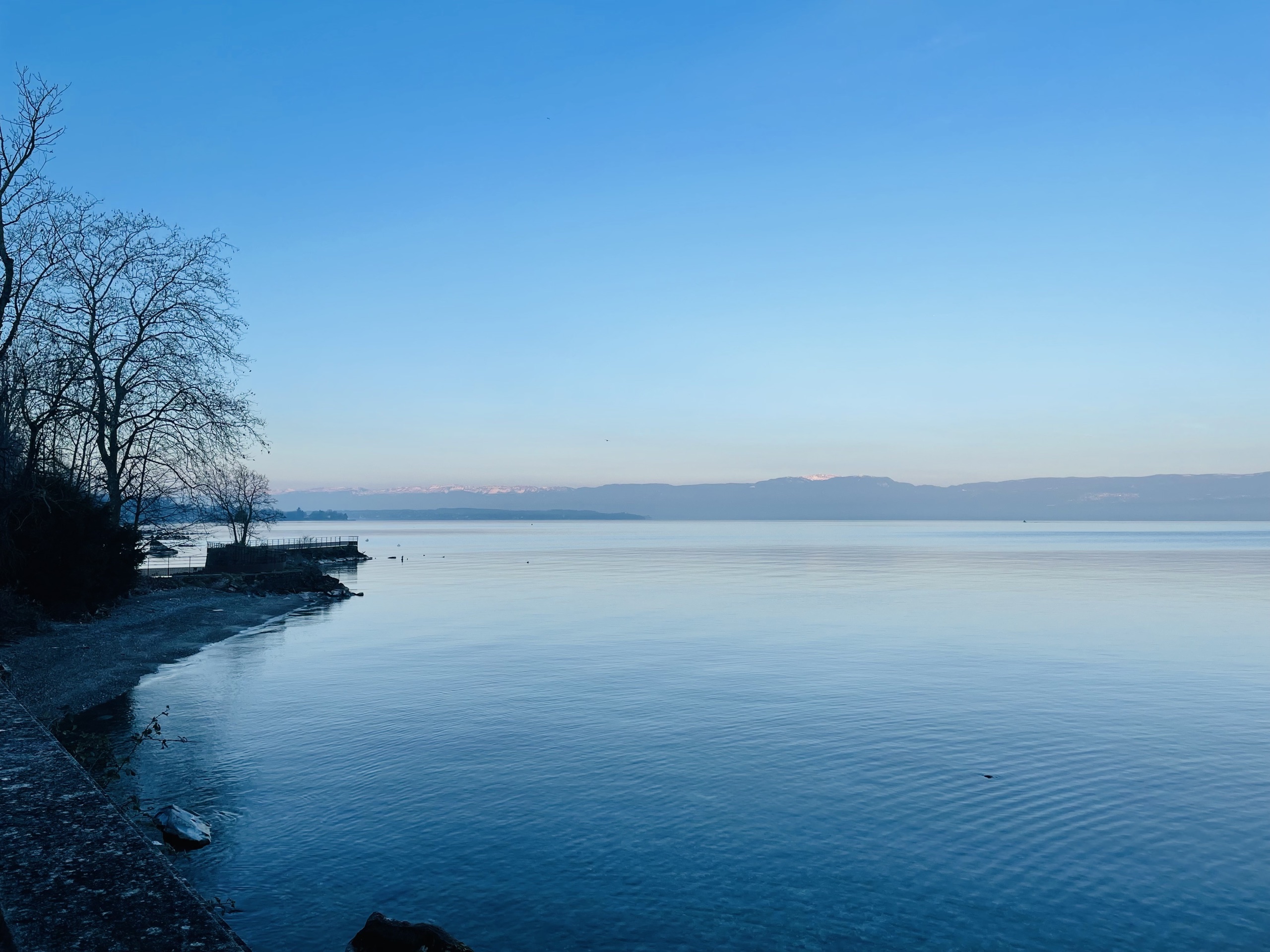 Vue de Thonon-les-Bains et du Léman